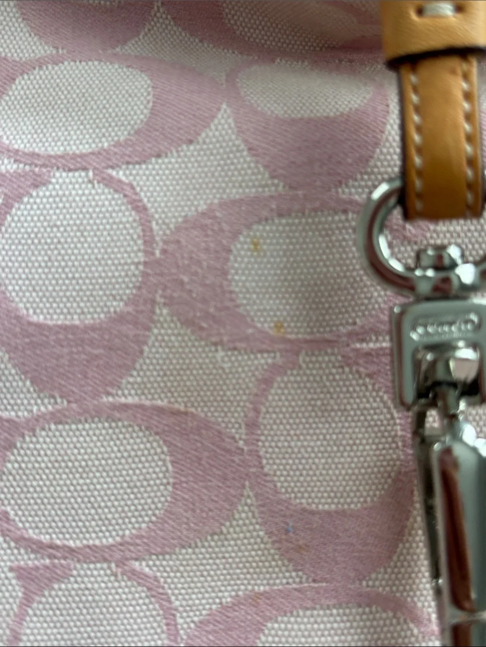 Coach hobo bag